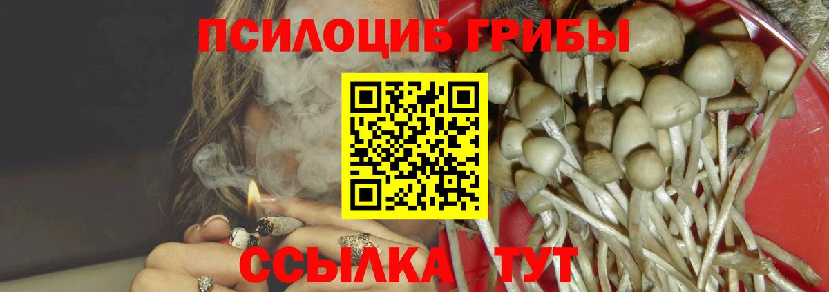 Псилоцибиновые грибы мицелий  Вход с VPN  Димитровград 